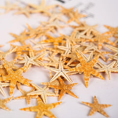 50pcs Mini Starfish Mixed Style Random