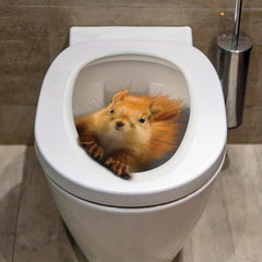 3D Squirrel Toilet Sticker Self Adhesive PVC Wall Decor