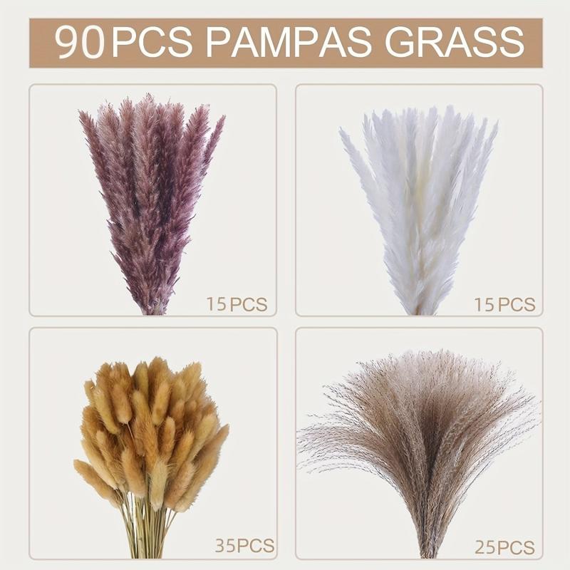 70 Pcs Dried Pampas Grass Bunny Tails