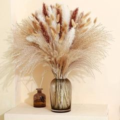 70 Pcs Dried Pampas Grass Bunny Tails