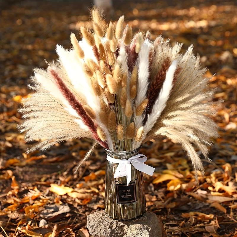 70 Pcs Dried Pampas Grass Bunny Tails