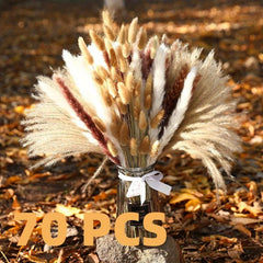 70 Pcs Dried Pampas Grass Bunny Tails