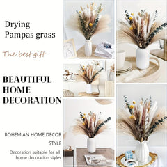 75pcs Natural Dried Pampas Grass for Boho Home Decor