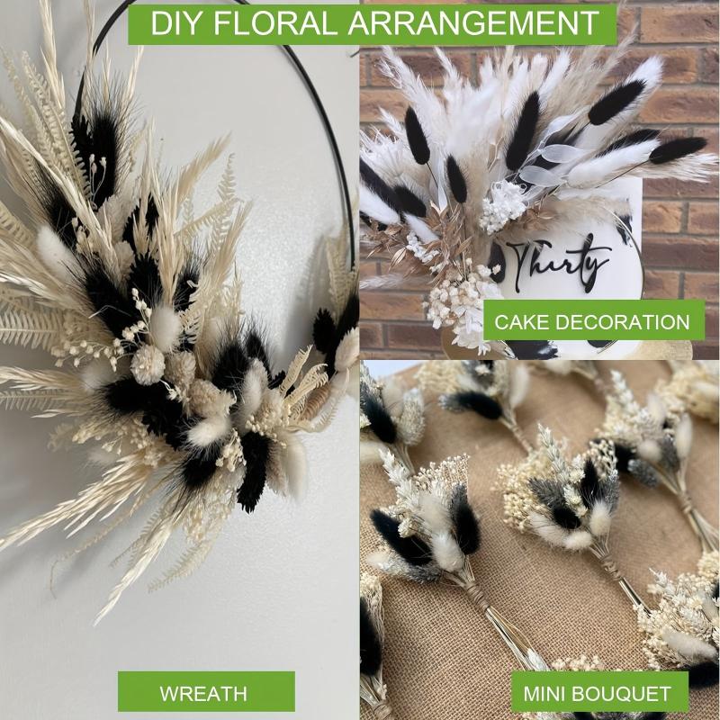 Dried Bunny Tails Flowers Pampas Grass for DIY Craft Home Wedding Decor