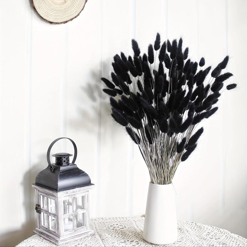 Dried Bunny Tails Flowers Pampas Grass for DIY Craft Home Wedding Decor