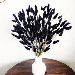Dried Bunny Tails Flowers Pampas Grass for DIY Craft Home Wedding Decor