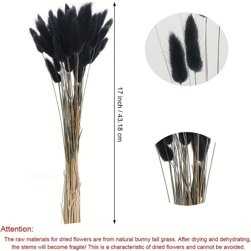 Dried Bunny Tails Flowers Pampas Grass for DIY Craft Home Wedding Decor