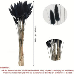 Dried Bunny Tails Flowers Pampas Grass for DIY Craft Home Wedding Decor