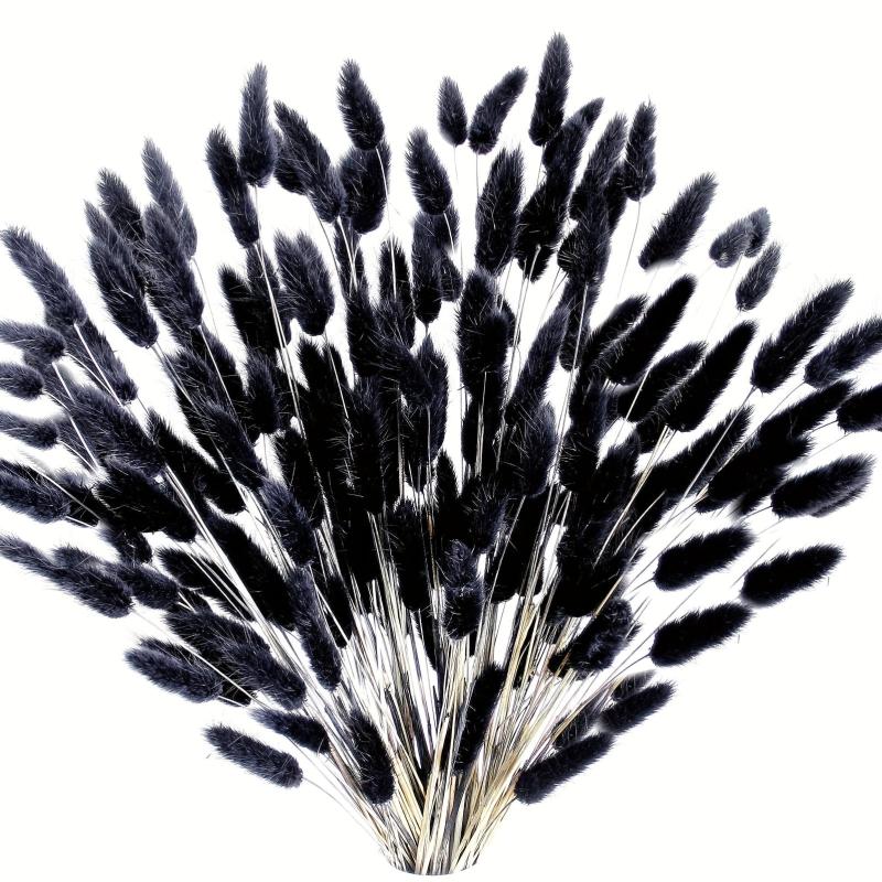 Dried Bunny Tails Flowers Pampas Grass for DIY Craft Home Wedding Decor