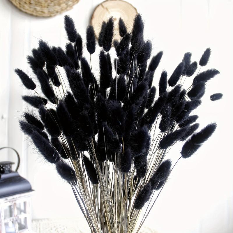 Dried Bunny Tails Flowers Pampas Grass for DIY Craft Home Wedding Decor