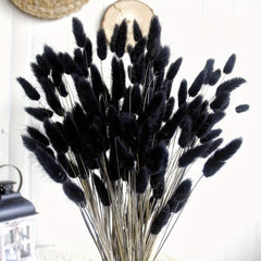 Dried Bunny Tails Flowers Pampas Grass for DIY Craft Home Wedding Decor