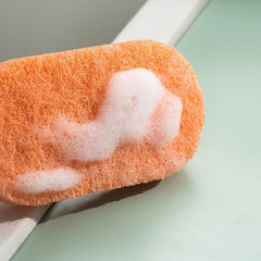 Non-Scratch Bathroom Cleaning Sponge with Handle