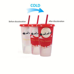 Christmas Tumbler 710ml Water Bottle with Lid and Straw