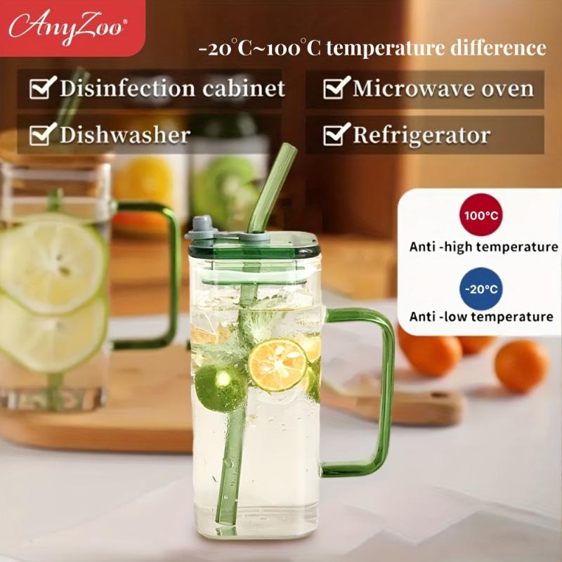 Anyzoo Glass Tumbler 300ml with Lid & Straw