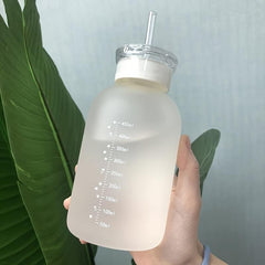 480ml Matte Glass Water Bottle with Straw, Sunflower Design, Back to School
