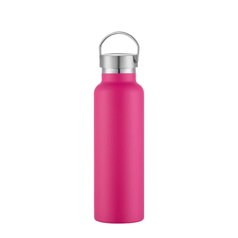 20oz Insulated Water Bottle Steel Lid BPA Free