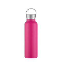 20oz Insulated Water Bottle Steel Lid BPA Free