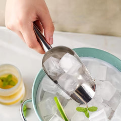 Stainless Steel Multipurpose Shovel for Kitchen Ice Scooping