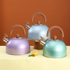 Stainless Steel Whistle Tea Kettle 2L 3L