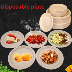 25Pcs Natural Bagasse Plates Eco Friendly Biodegradable Compostable