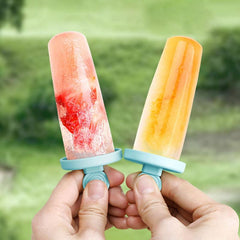 Reusable Ice Cream Molds for Homemade Popsicles