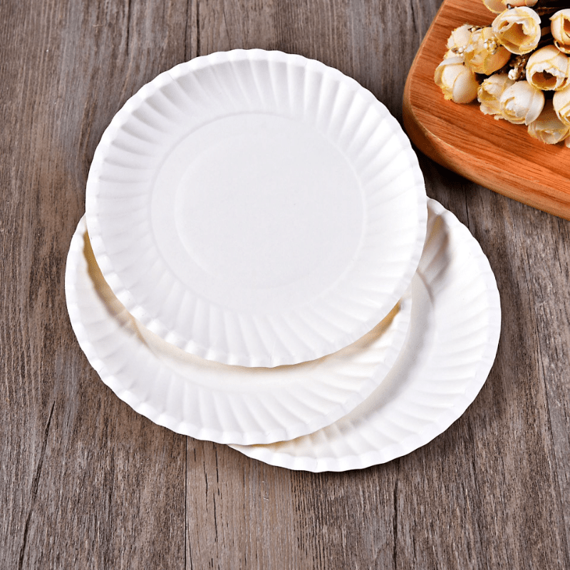 25pcs Disposable Plates Paper Plate 15 24 Cm