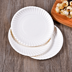 25pcs Disposable Plates Paper Plate 15 24 Cm