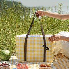 Large Insulated Lunch Box Bag for Beach Picnic Travel Leak Proof