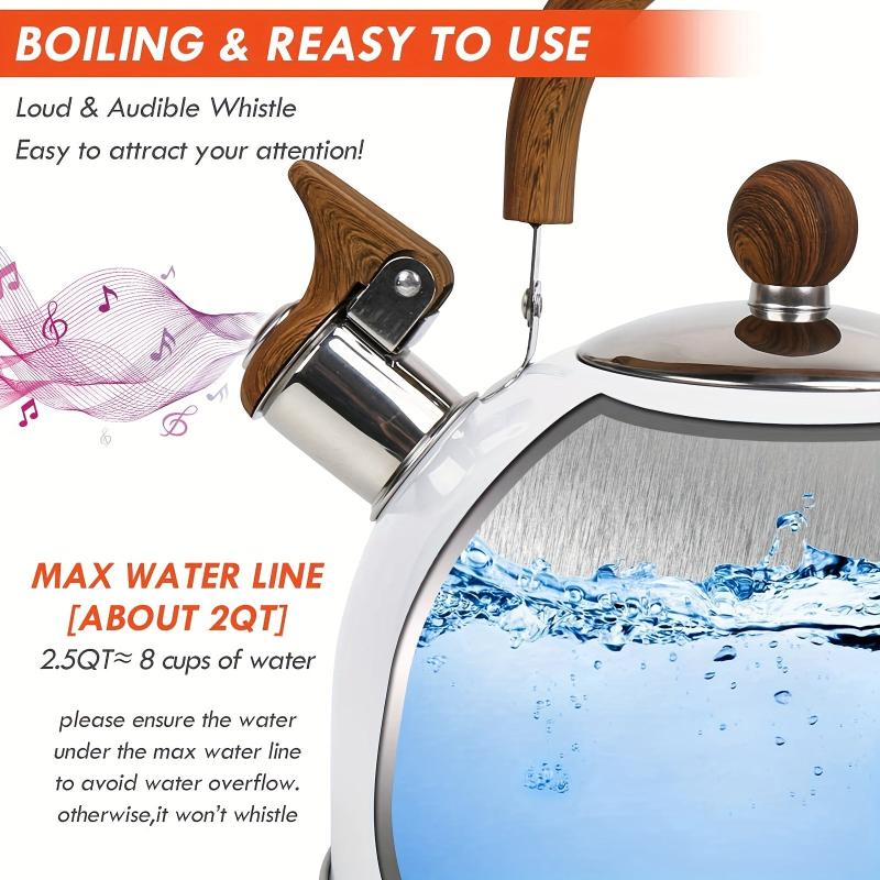 2.5L Stainless Steel Whistling Teapot with Wooden Handle