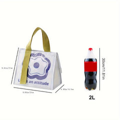 Collapsible Cooler Bag Insulated Leakproof Soft Portable Lunch Box for Travel
