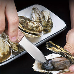 2pcs Oyster Opener Stainless Steel Professional Shell Picking Commercial Tool