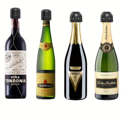 Wine Vacuum Stopper for Champagne Bottle Leak-proof Preservation Cap