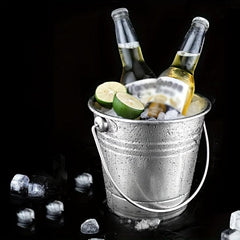 Stainless Steel Ice Bucket for Outdoor Picnic and Parties