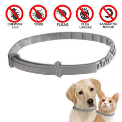 Adjustable In Vitro Deworming Flea Collar for Dogs and Cats