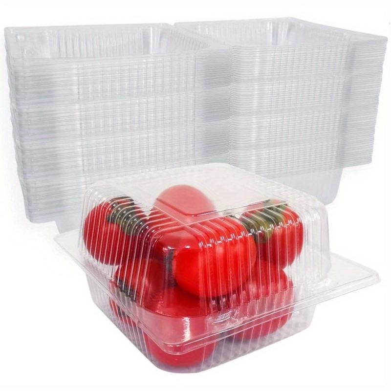 Plastic Clamshell Take Out Tray 12.7cmx12 Disposable Containers - Pack of 50