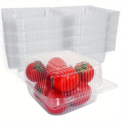 Plastic Clamshell Take Out Tray 12.7cmx12 Disposable Containers - Pack of 50