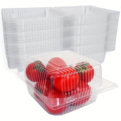 Plastic Clamshell Take Out Tray 12.7cmx12 Disposable Containers - Pack of 50