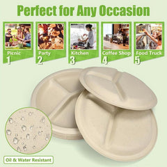 50pcs Biodegradable Dinner Plates 22 Microwave Safe Tableware Kit