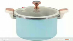 Micro Pressure Cooker 26cm Saucepan Soup Pot with Glass Cover