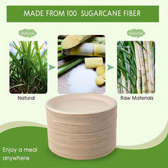 10 Pcs Sugarcane Pulp Degradable Dinner Plates