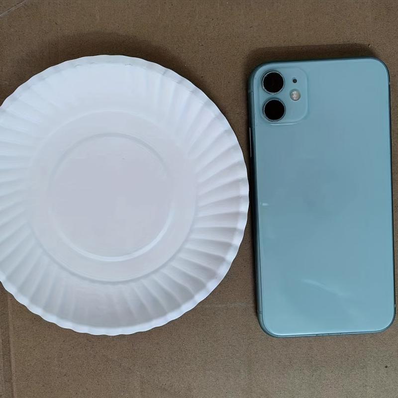 50pcs Disposable Paper Dinner Plate for Picnic Birthday Party Cake and Barbecue