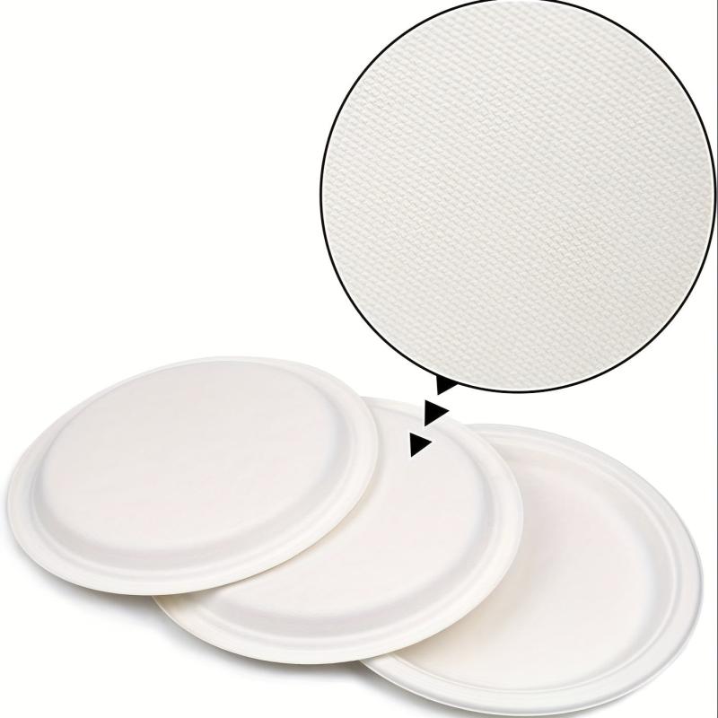 50 Biodegradable Sugarcane Pulp Paper Plates 22 for Parties and Kitchen