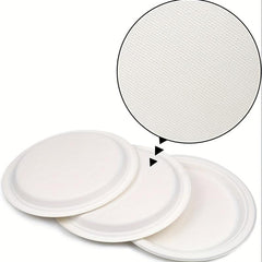50 Biodegradable Sugarcane Pulp Paper Plates 22 for Parties and Kitchen