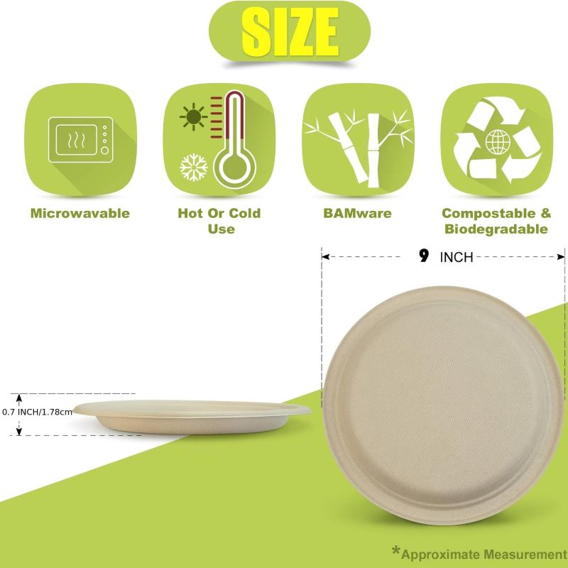 50 Biodegradable Sugarcane Pulp Paper Plates 22 for Parties and Kitchen