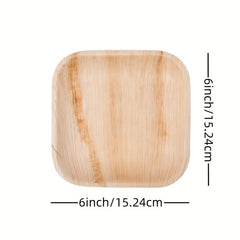 10 PCS 15 24 Cm Compostable Square Palm Leaf Plates In Party