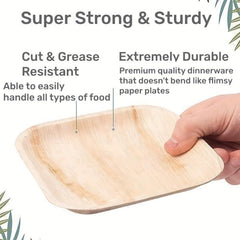 10 PCS 15 24 Cm Compostable Square Palm Leaf Plates In Party