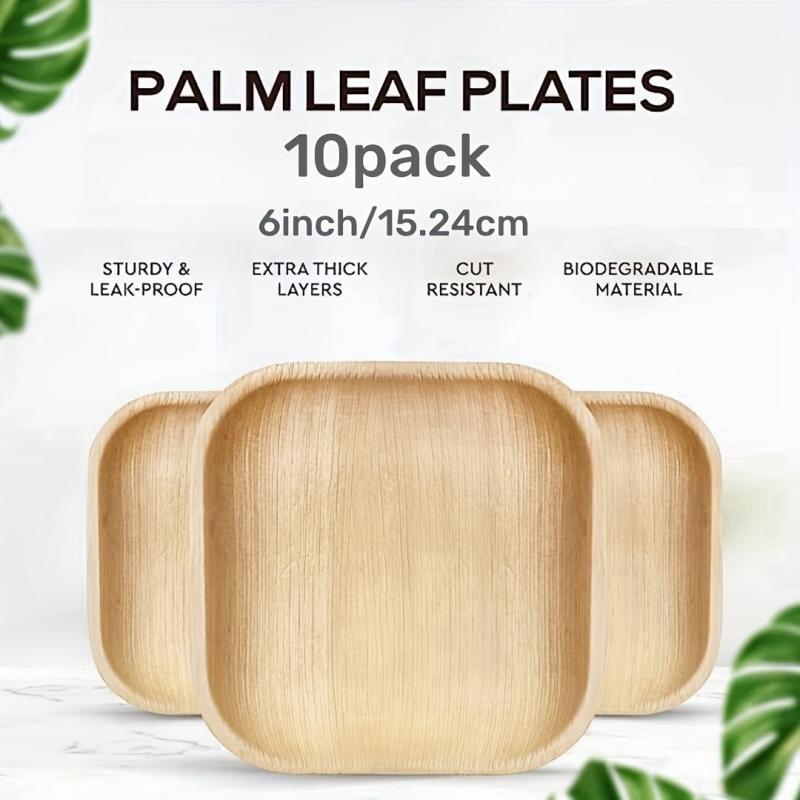 10 PCS 15 24 Cm Compostable Square Palm Leaf Plates In Party