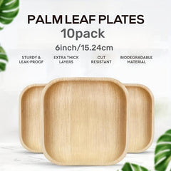 10 PCS 15 24 Cm Compostable Square Palm Leaf Plates In Party