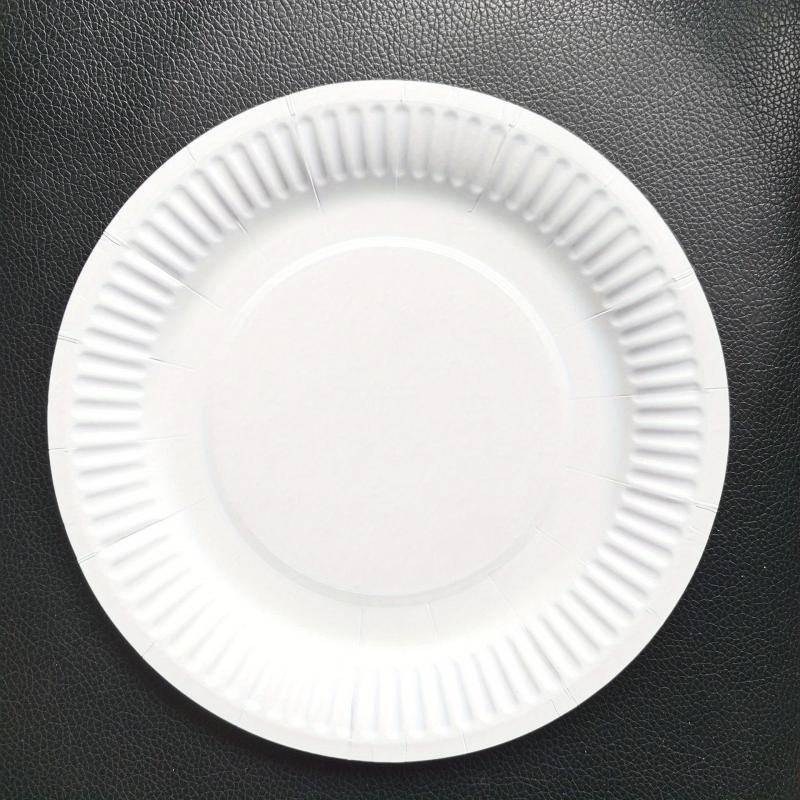 50pcs Party Paper Plates DIY Decorated Plates Supplies