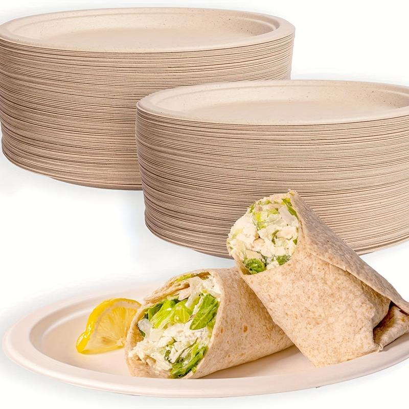 50pcs Disposable Plate 22 Sugarcane Bagasse Plate Biodegradable Paper Plates
